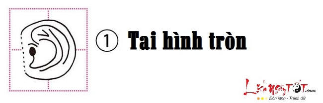 Xem hình dáng tai đoán biết tính cách bản chất con người hình ảnh gốc Xem hinh dang tai doan biet tinh cach ban chat con nguoi hinh anh goc