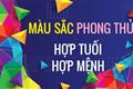 xem-mau-hop-tuoi-hop-menh-e28093-ung-dung-de-cai-thien-phong-thuy-tang-cuong-van-khi-1
