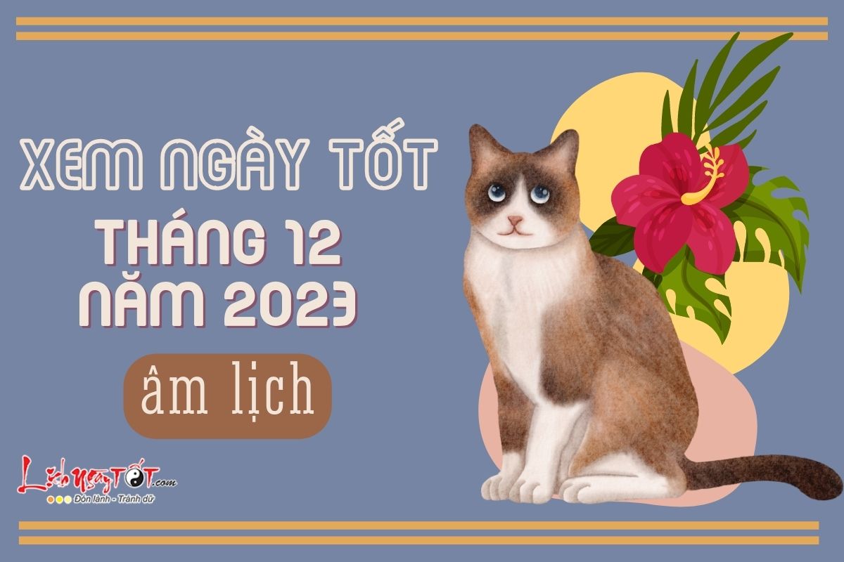 Xem ngay tot xau thang 12 nam 2023