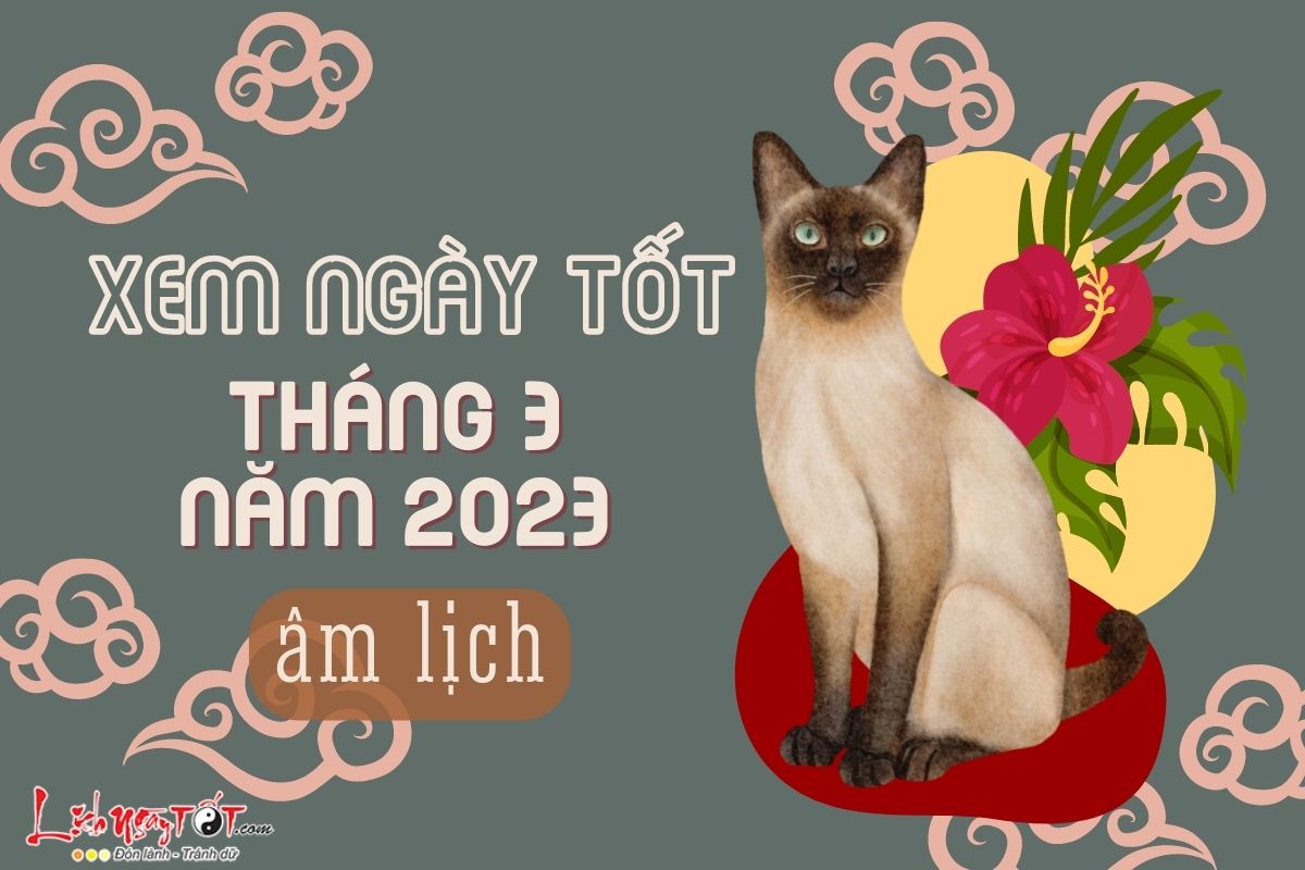 Xem ngay tot xau thang 3 nam 2023