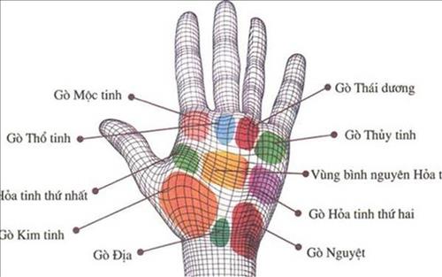 xem tuong go ban tay xem tuong go ban tay
