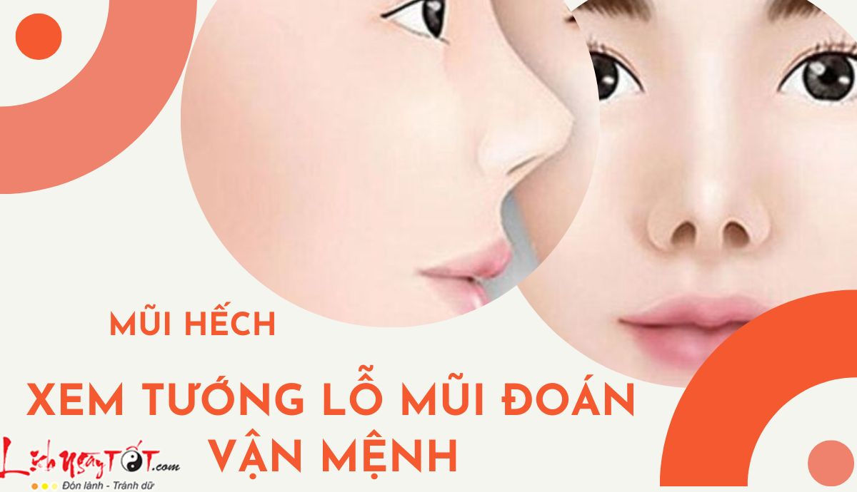 Xem tướng lỗ mũi đoán vận mệnh - mũi hếch Xem tuong lo mui doan van menh - mui hech