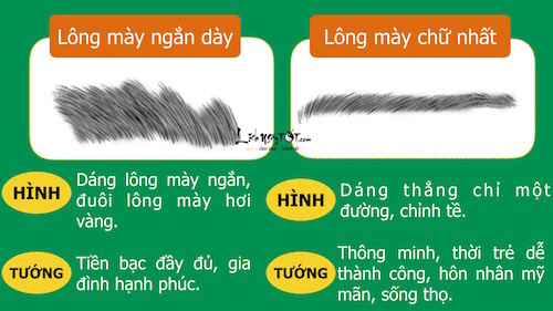 Xem tướng lông mày để biết anh hào hay tiểu nhân hình ảnh 11 Xem tuong long may de biet anh hao hay tieu nhan hinh anh 11