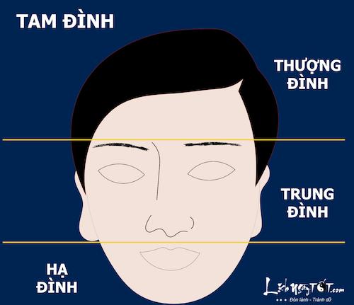 Xem tướng mặt là xem cái gì hình ảnh 2 Xem tuong mat la xem cai gi hinh anh 2