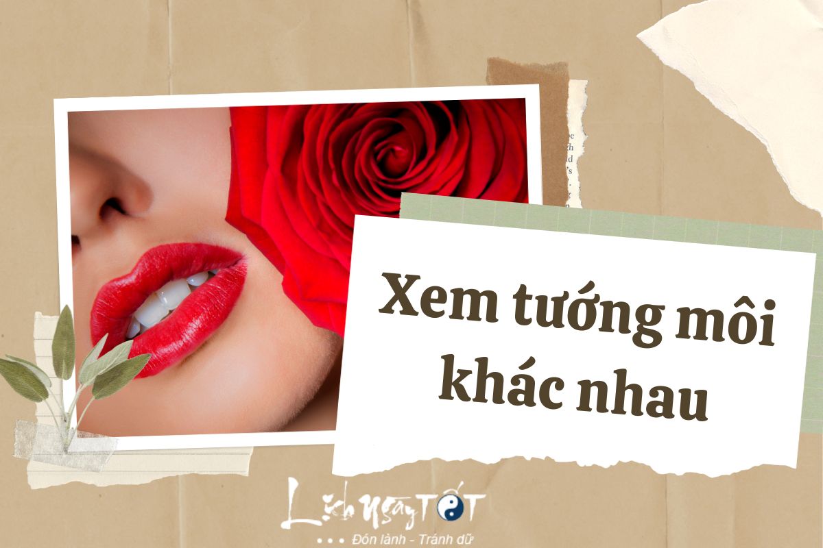 Xem tướng môi khác nhau Xem tuong moi khac nhau