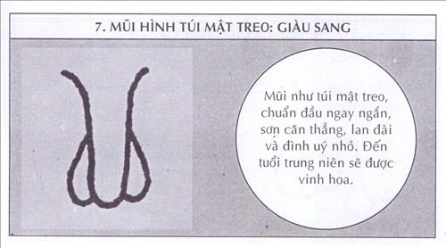 xem tuong mui huyen dam xem tuong mui huyen dam