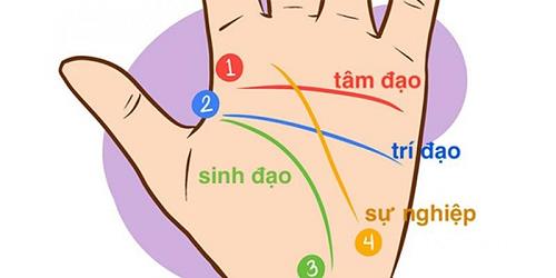 xem tướng tay có đường sự nghiệp đậm dần thành công muộn xem tuong tay co duong su nghiep dam dan thanh cong muon