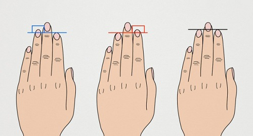 xem tướng tay ngón trỏ dài bằng ngón đeo nhẫn xem tuong tay ngon tro dai bang ngon deo nhan
