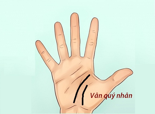 xem tướng tay vân quý nhân xem tuong tay van quy nhan