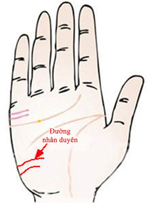 Xòe bàn tay nhìn ngay nhân duyên tốt đẹp hình ảnh 3 Xoe ban tay nhin ngay nhan duyen tot dep hinh anh 3