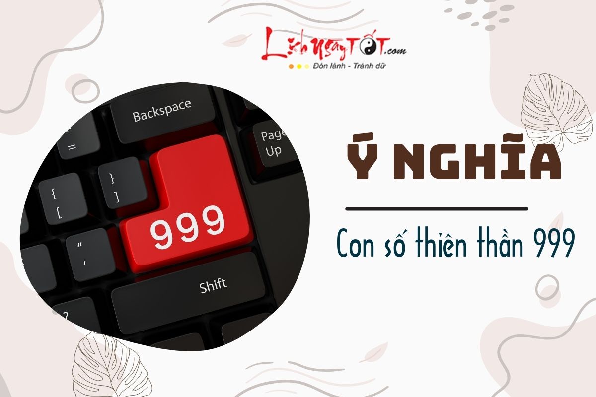 Y nghia con so thien than 999