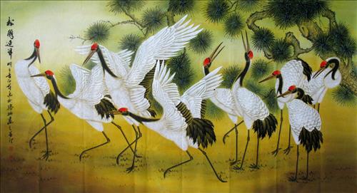 y nghia hac phong thuy y nghia hac phong thuy