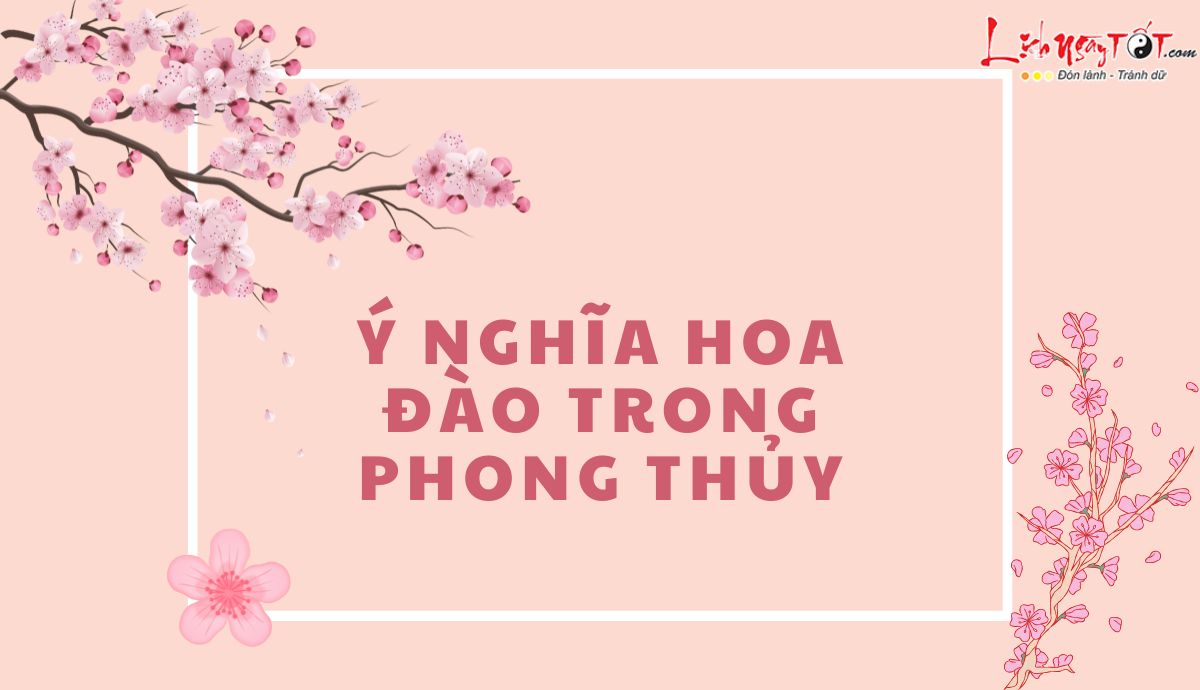 ý nghĩa hoa đào trong phong thủy y nghia hoa dao trong phong thuy